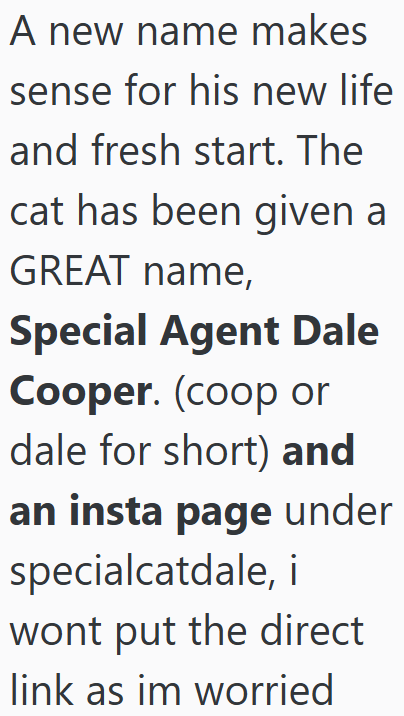 A new name makes sense for his new life and fresh start. The cat has been given a GREAT name, Special Agent Dale Cooper. (coop or dale for short) and an insta page under specialcatdale, i wont put the direct link as im worried