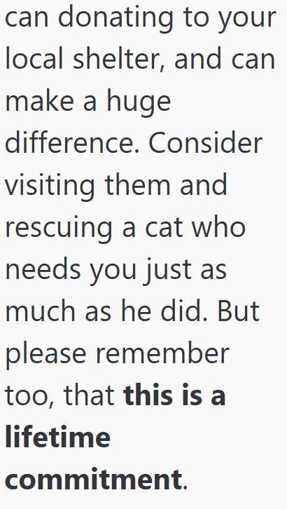 can donating to your local shelter, and can make a huge difference. Consider visiting them and rescuing a cat who needs you just as much as he did. But please remember too, that this is a lifetime commitment.