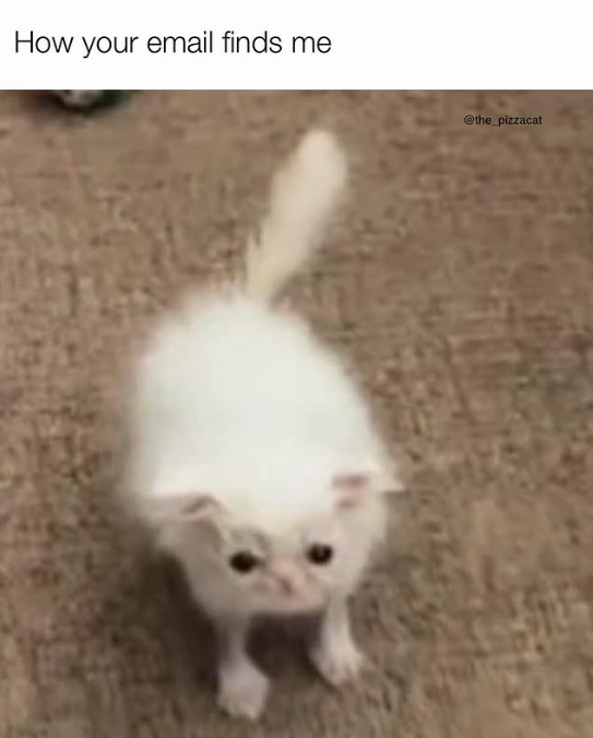How your email finds me @the_pizzacat