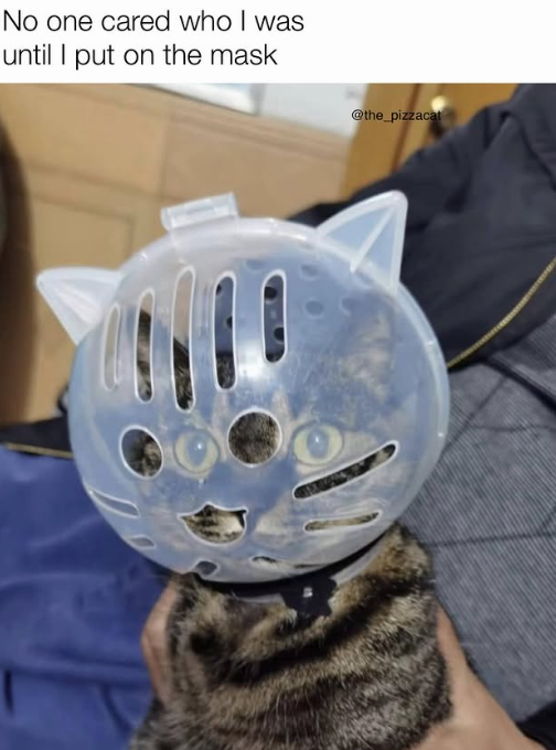 No one cared who I was until I put on the mask @the_pizzacat