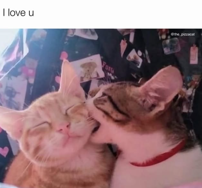 I love u For @the_pizzacat