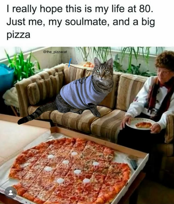 I really hope this is my life at 80. Just me, my soulmate, and a big pizza @the_pizzacat