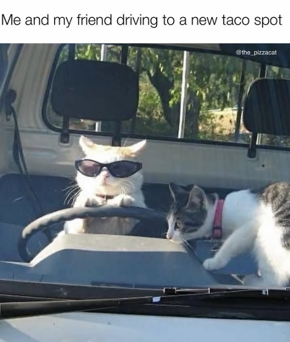 Me and my friend driving to a new taco spot @the_pizzacat