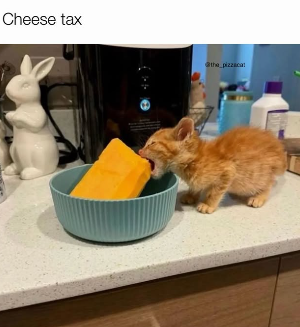 Cheese tax @the_pizzacat