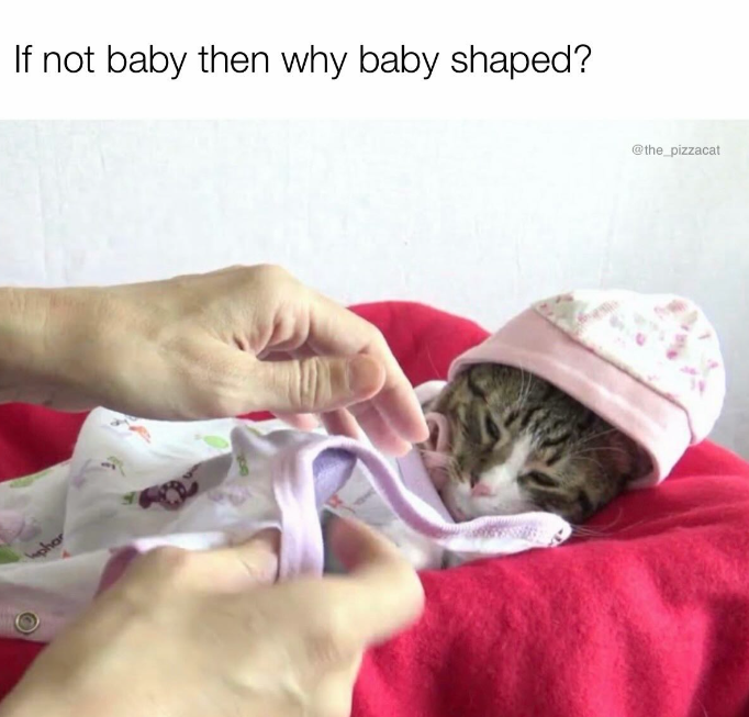 phar If not baby then why baby shaped? @the_pizzacat