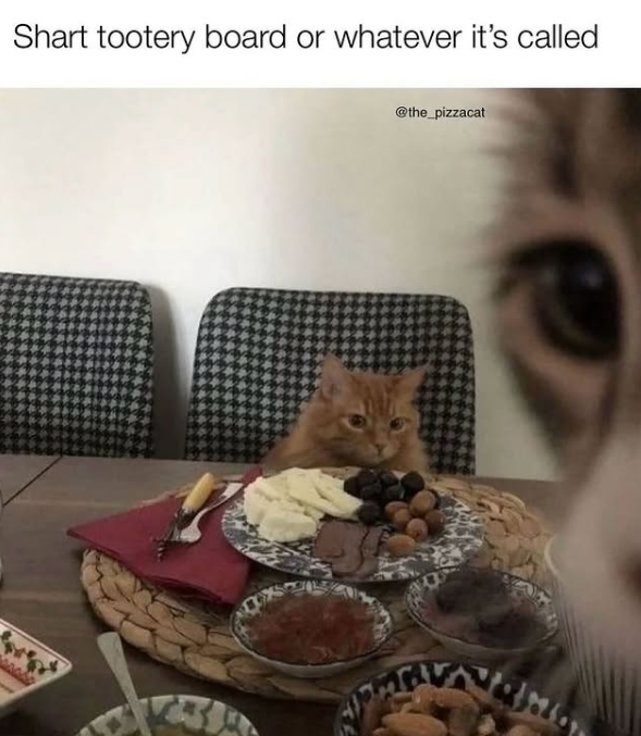 Shart tootery board or whatever it's called @the_pizzacat