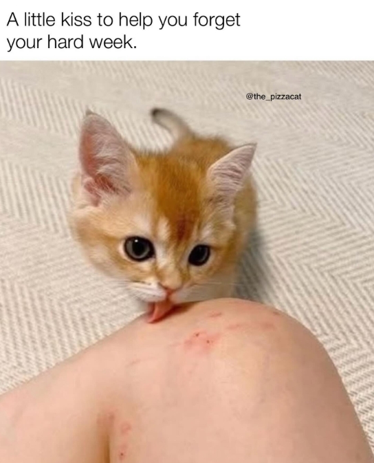 A little kiss to help you forget your hard week. @the_pizzacat