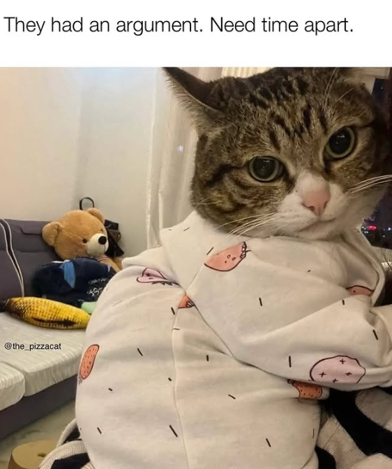 They had an argument. Need time apart. @the_pizzacat