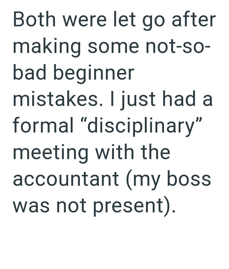 Both were let go after making some not-so- bad beginner mistakes. I just had a formal "disciplinary" meeting with the accountant (my boss was not present).