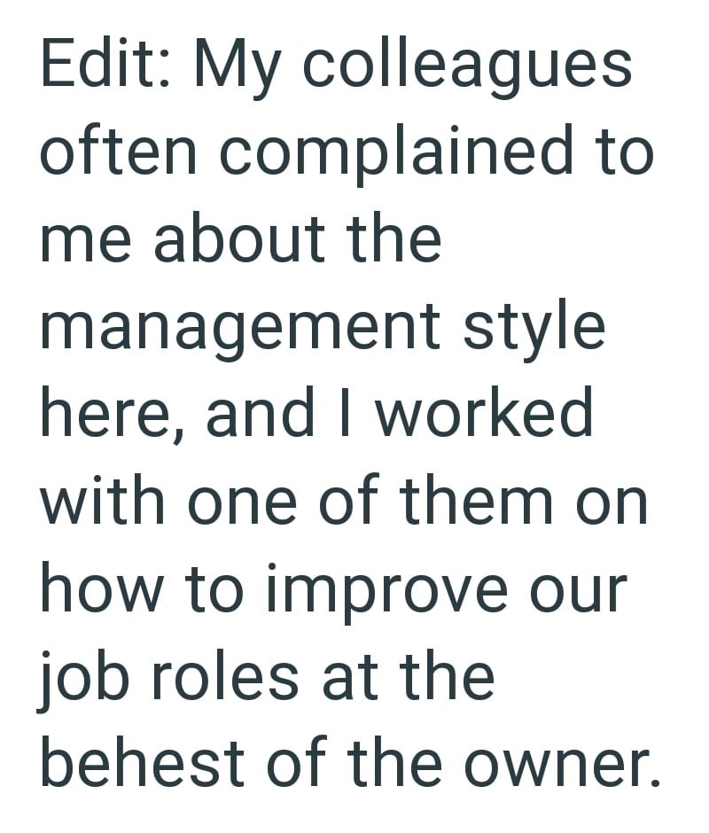 Edit: My colleagues often complained to me about the management style here, and I worked with one of them on how to improve our job roles at the behest of the owner.