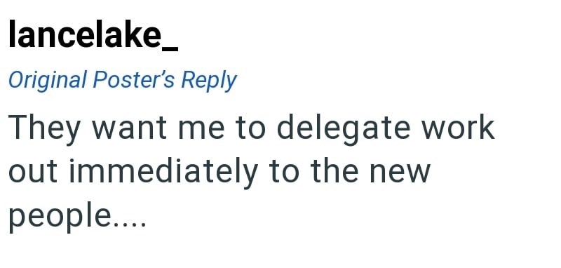 lancelake_ Original Poster's Reply They want me to delegate work out immediately to the new people....
