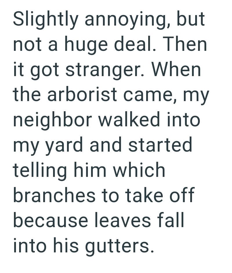 Slightly annoying, but not a huge deal. Then it got stranger. When the arborist came, my neighbor walked into my yard and started telling him which branches to take off because leaves fall into his gutters.