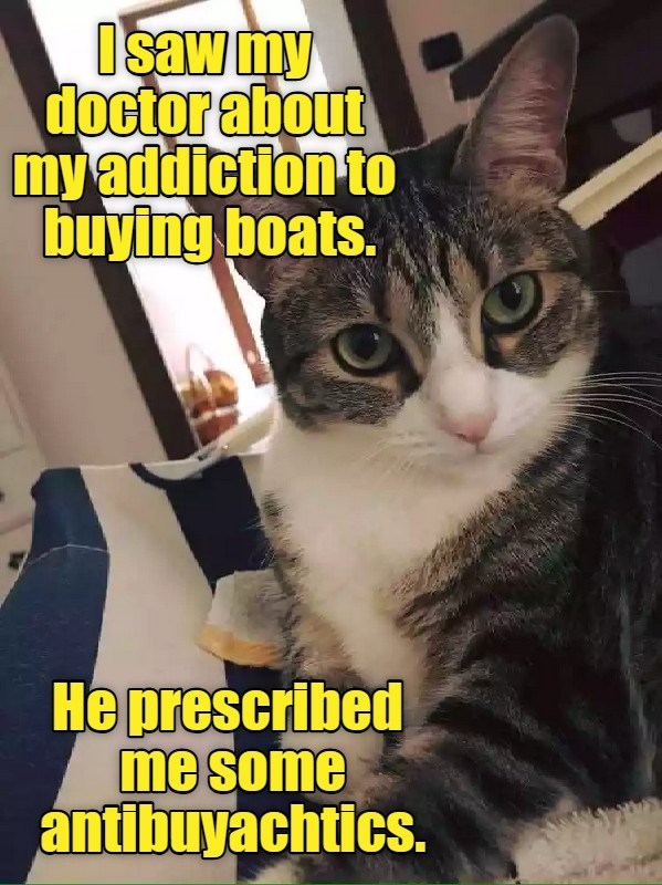 Cheezburger Image 10621396992