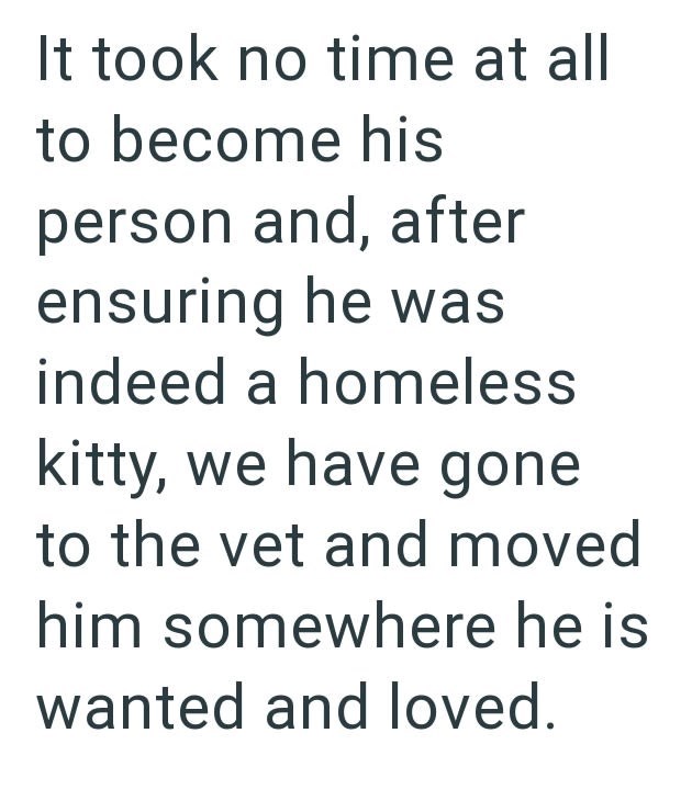 It took no time at all to become his person and, after ensuring he was indeed a homeless kitty, we have gone to the vet and moved him somewhere he is wanted and loved.
