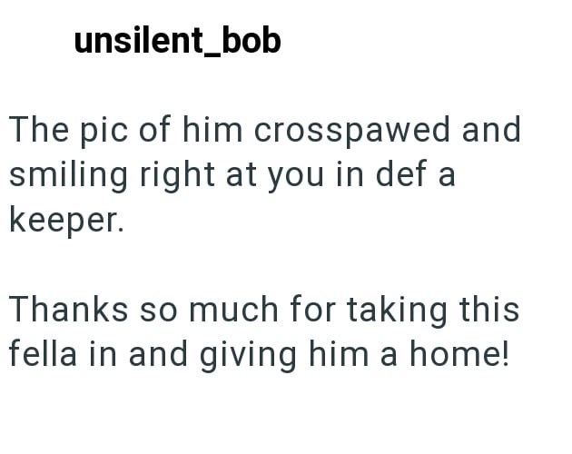 unsilent_bob The pic of him crosspawed and smiling right at you in def a keeper. Thanks so much for taking this fella in and giving him a home!