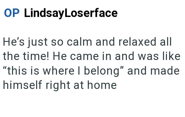 OP LindsayLoserface He's just so calm and relaxed all the time! He came in and was like "this is where I belong" and made himself right at home