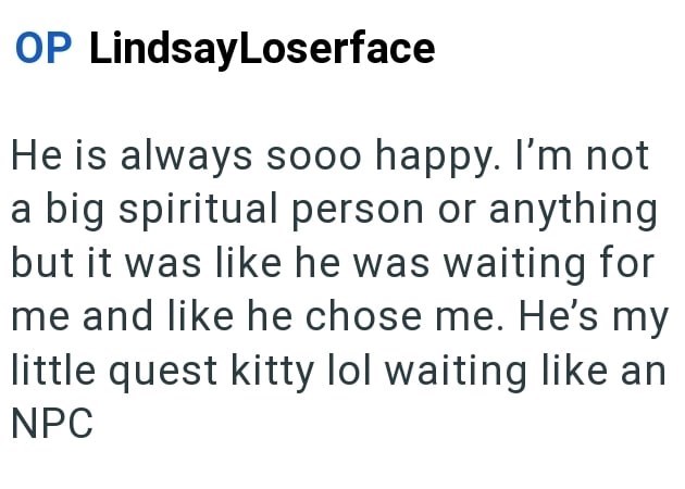OP LindsayLoserface He is always sooo happy. I'm not a big spiritual person or anything but it was like he was waiting for me and like he chose me. He's my little quest kitty lol waiting like an NPC