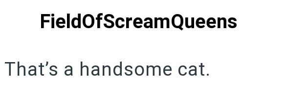 FieldOfScream Queens That's a handsome cat.