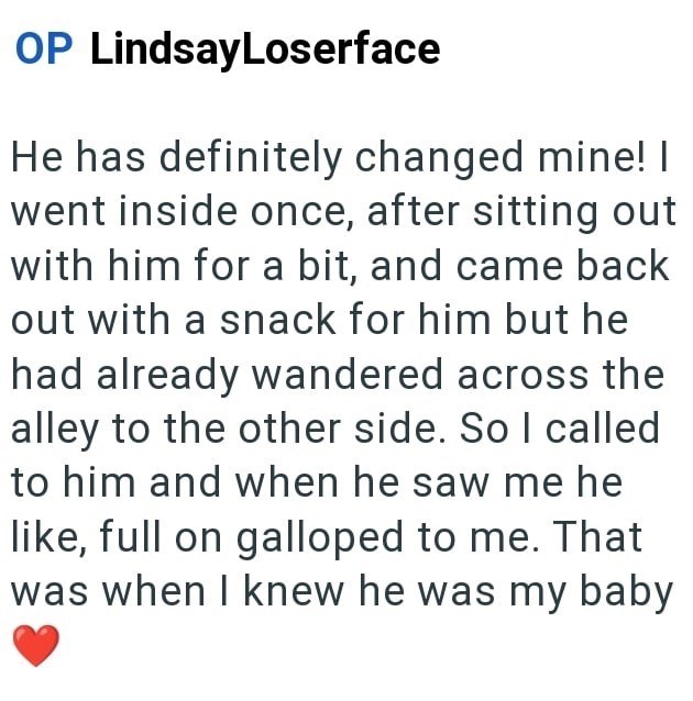 OP LindsayLoserface He has definitely changed mine! I went inside once, after sitting out with him for a bit, and came back out with a snack for him but he had already wandered across the alley to the other side. So I called to him and when he saw me he like, full on galloped to me. That was when I knew he was my baby