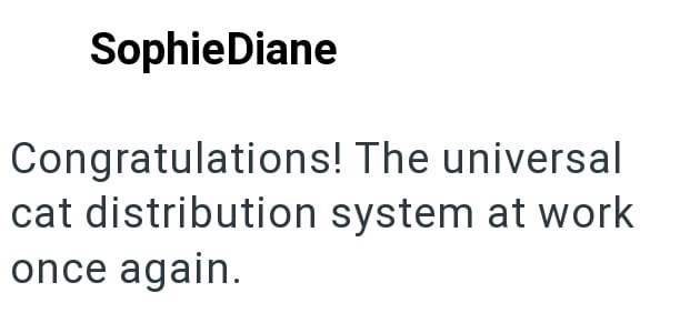 Sophie Diane Congratulations! The universal cat distribution system at work once again.