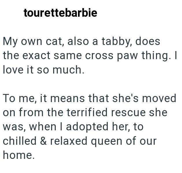 tourettebarbie My own cat, also a tabby, does the exact same cross paw thing. I love it so much. To me, it means that she's moved on from the terrified rescue she was, when I adopted her, to chilled & relaxed queen of our home.