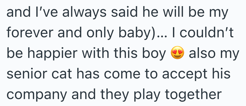 and I've always said he will be my forever and only baby)... I couldn't be happier with this boy senior cat has come to accept his also my company and they play together