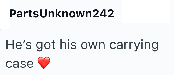 PartsUnknown242 He's got his own carrying case