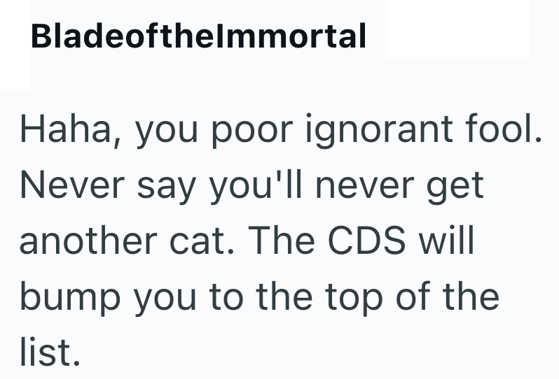 Bladeofthelmmortal Haha, you poor ignorant fool. Never say you'll never get another cat. The CDS will bump you to the top of the list.