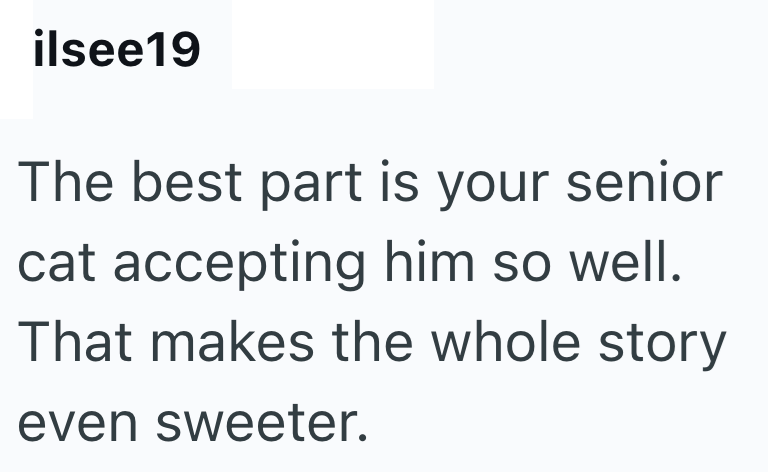 ilsee19 The best part is your senior cat accepting him so well. That makes the whole story even sweeter.
