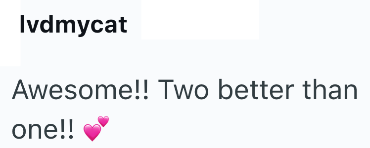 Ivdmycat Awesome!! Two better than one!!