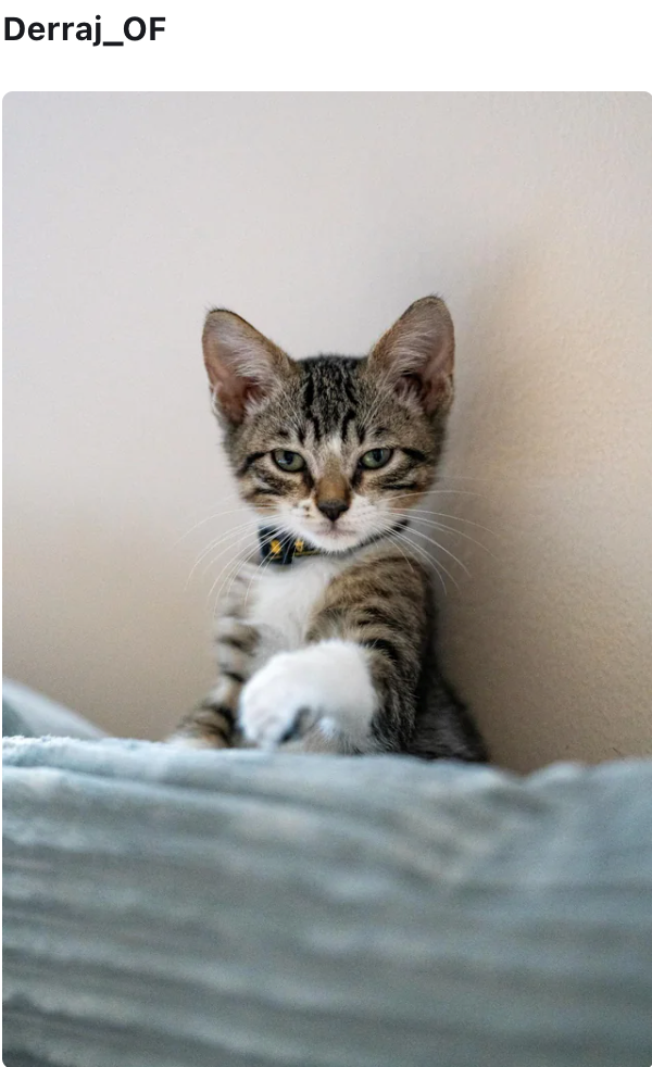 Derraj_OF