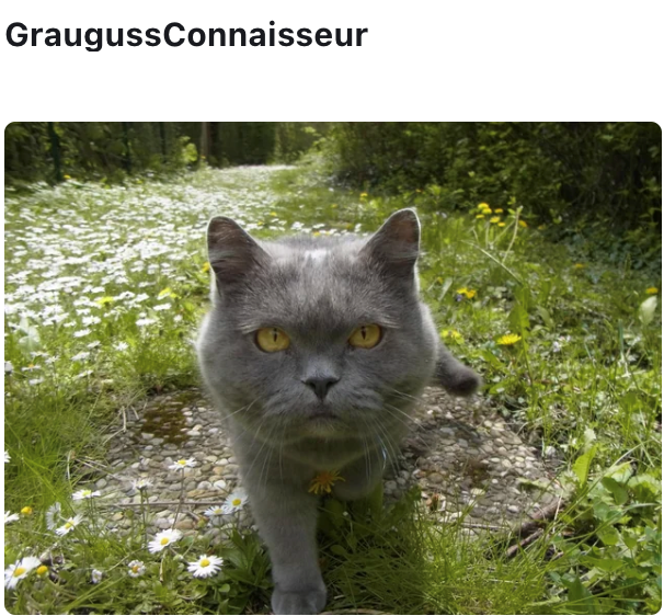 GraugussConnaisseur