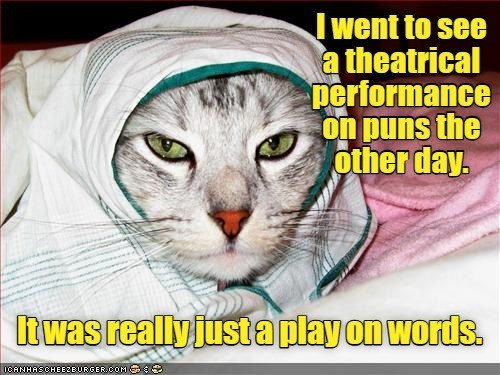 Cheezburger Image 10621419008