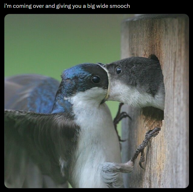 i'm coming over and giving you a big wide smooch