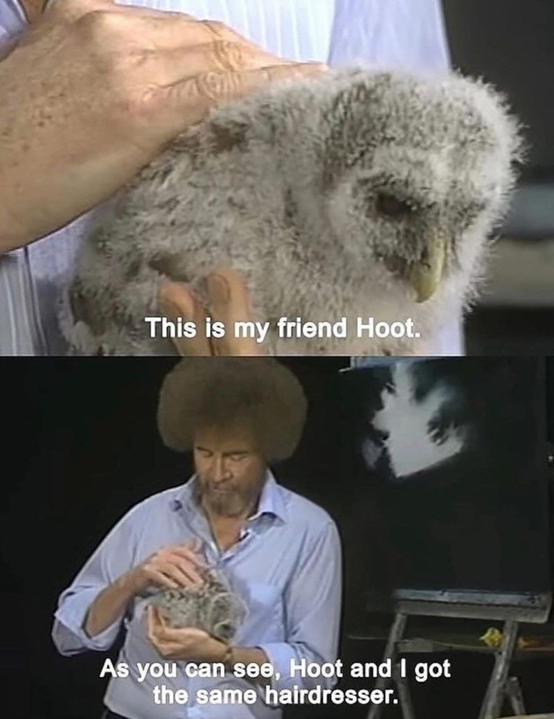 This is my friend Hoot. As you can see, Hoot and I got the same hairdresser.