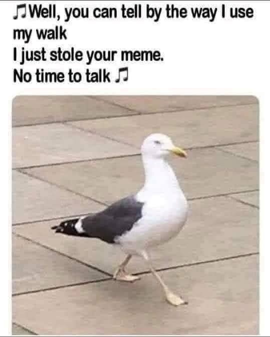 Well, you can tell by the way I use my walk I just stole your meme. No time to talk ♫