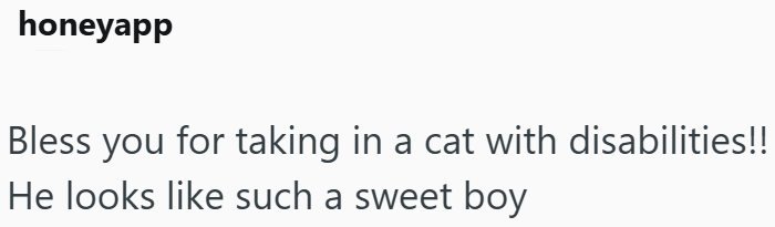 honeyapp Bless you for taking in a cat with disabilities!! He looks like such a sweet boy