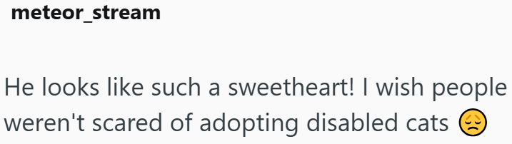 meteor_stream He looks like such a sweetheart! I wish people weren't scared of adopting disabled cats
