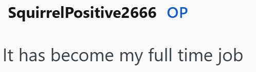 Squirrel Positive2666 OP It has become my full time job