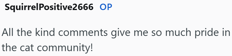 SquirrelPositive2666 OP All the kind comments give me so much pride in the cat community!