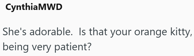 Cynthia MWD She's adorable. Is that your orange kitty, being very patient?
