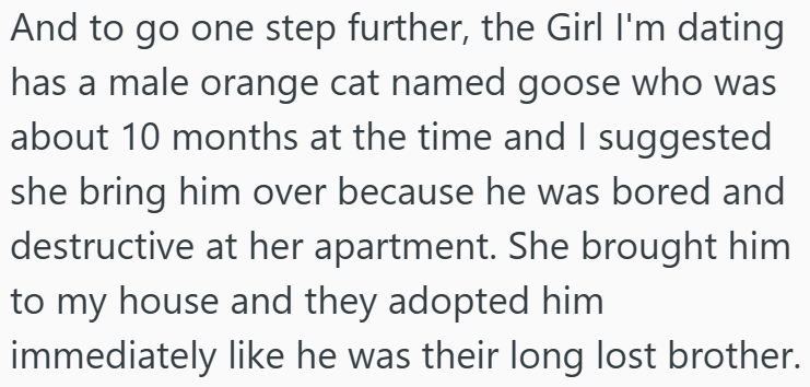 And to go one step further, the Girl I'm dating has a male orange cat named goose who was about 10 months at the time and I suggested she bring him over because he was bored and destructive at her apartment. She brought him to my house and they adopted him immediately like he was their long lost brother.