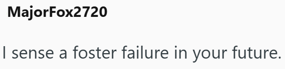 MajorFox2720 I sense a foster failure in your future.