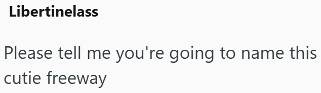 Libertinelass Please tell me you're going to name this cutie freeway