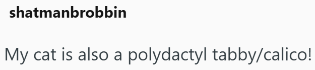 shatmanbrobbin My cat is also a polydactyl tabby/calico!