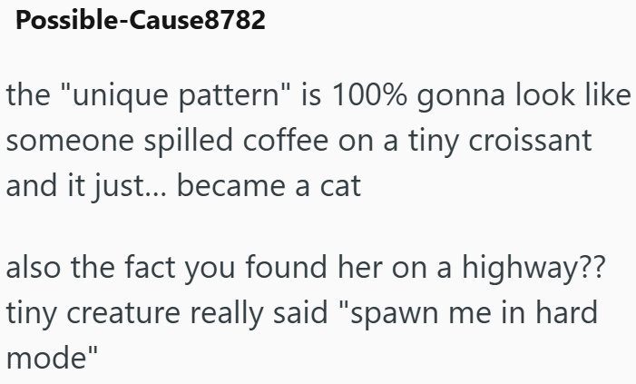 Possible-Cause8782 the "unique pattern" is 100% gonna look like someone spilled coffee on a tiny croissant and it just... became a cat also the fact you found her on a highway?? tiny creature really said "spawn me in hard mode"