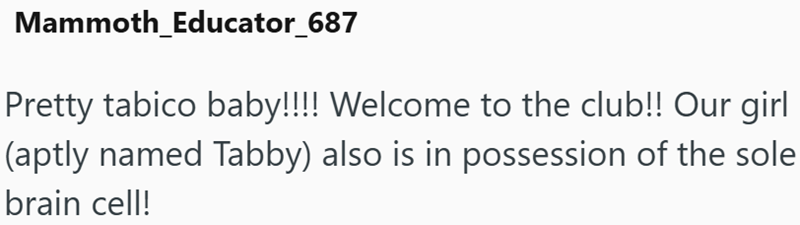 Mammoth_Educator_687 Pretty tabico baby!!!! Welcome to the club!! Our girl (aptly named Tabby) also is in possession of the sole brain cell!