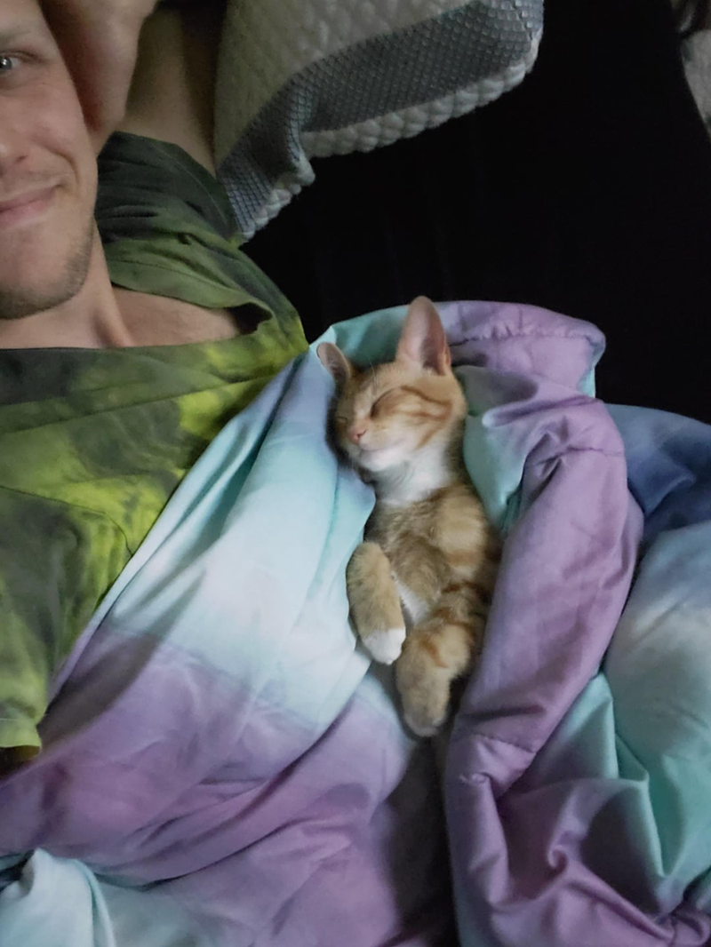 Cheezburger Image 10621434112