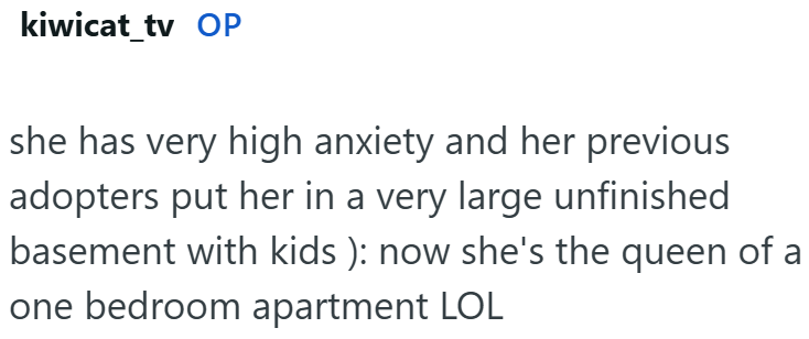 kiwicat_tv OP she has very high anxiety and her previous adopters put her in a very large unfinished basement with kids): now she's the queen of a one bedroom apartment LOL