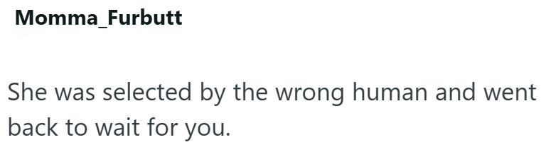 Momma Furbutt She was selected by the wrong human and went back to wait for you.